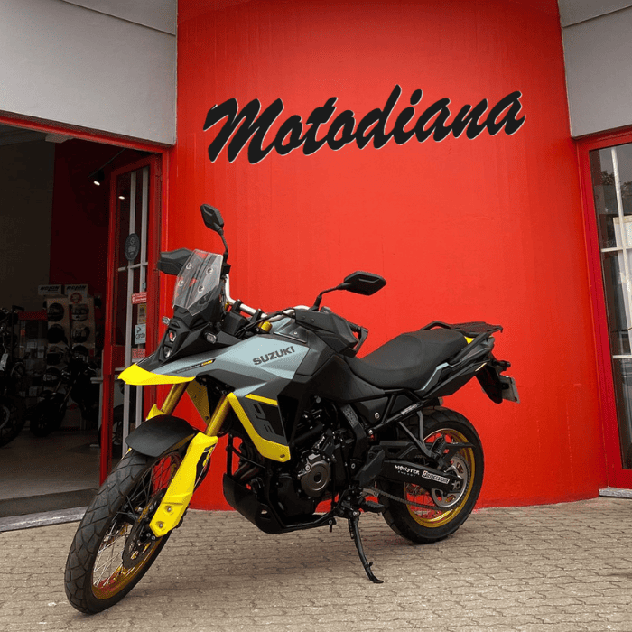 Suzuki DL 800 DE V-Strom