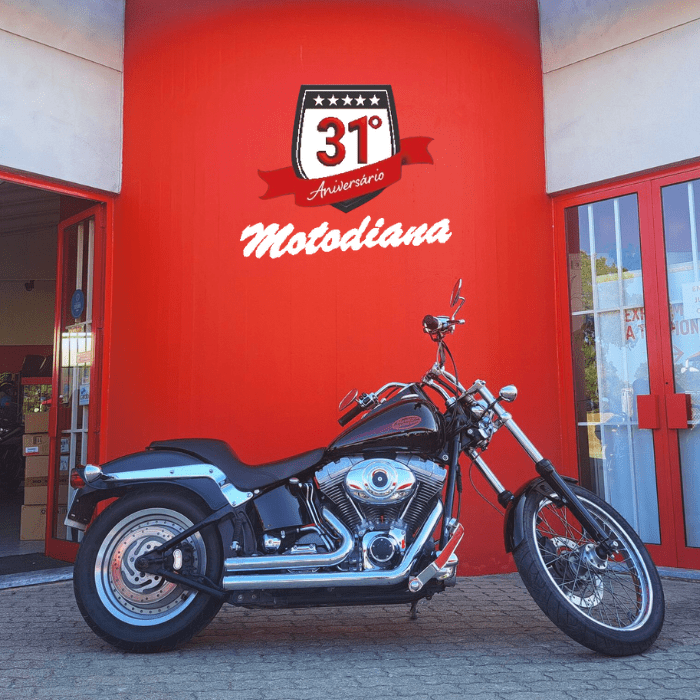 Harley Davidson FS2