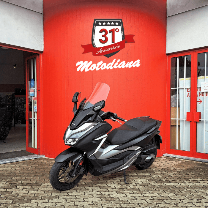 https://motodiana.com//public/uploads/Motos%20Usadas/Elementos_Graficos/83_xr_53_forza_nss300/2.png